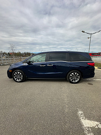 Honda Odyssey (North America), 2022г, передний привод, автомат