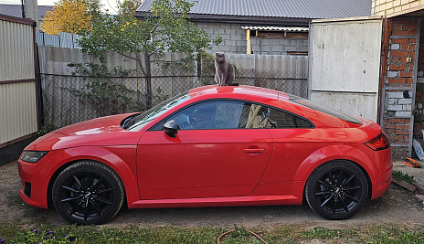 Audi TT 2014 - 2019 III (8S), 2016